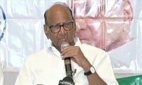 भीमा कोरेगावात संभाजी भिडेंनी वेगळं वातावरण निर्माण केलं - शरद पवार